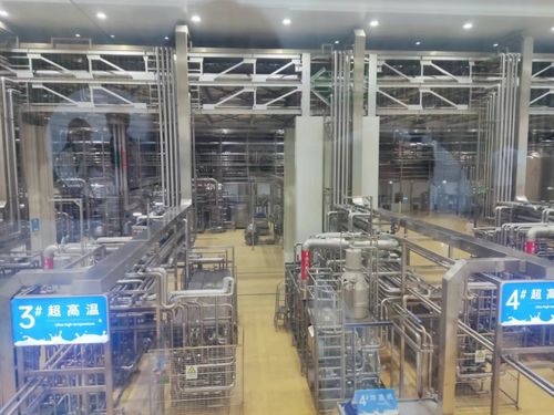 實地參觀，見證數字化力量 2024印刷業數字化工廠建設推進會圓滿收官